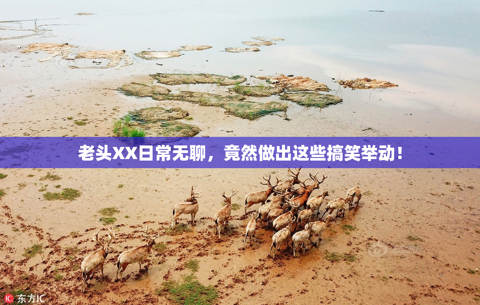 老头XX日常无聊，竟然做出这些搞笑举动！