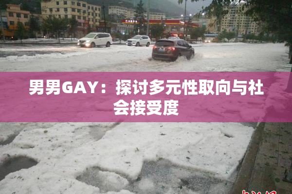 男男GAY：探讨多元性取向与社会接受度
