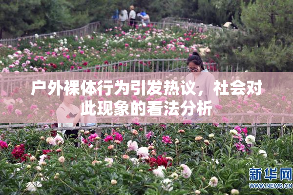 户外裸体行为引发热议，社会对此现象的看法分析