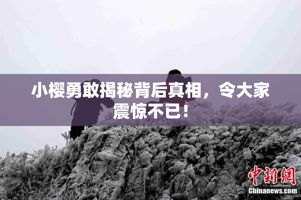 小樱勇敢揭秘背后真相，令大家震惊不已！