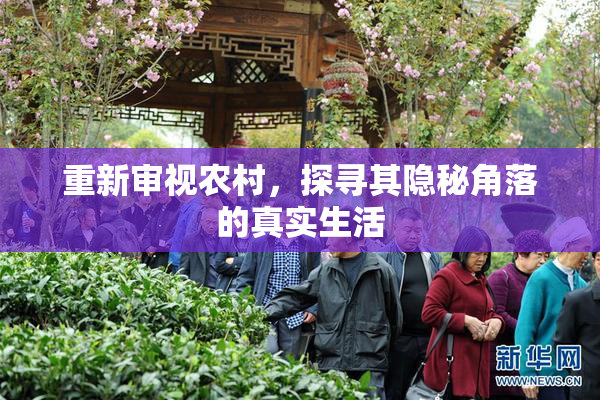 重新审视农村，探寻其隐秘角落的真实生活