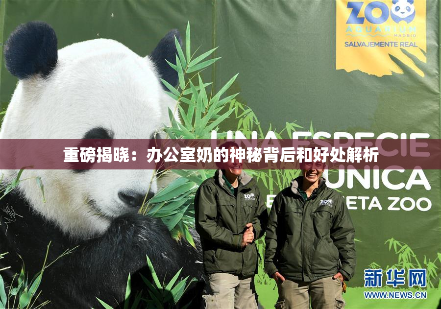 重磅揭晓：办公室奶的神秘背后和好处解析