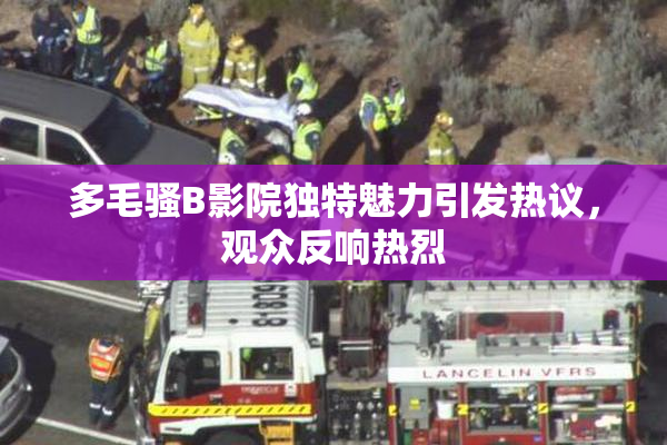 多毛骚B影院独特魅力引发热议，观众反响热烈
