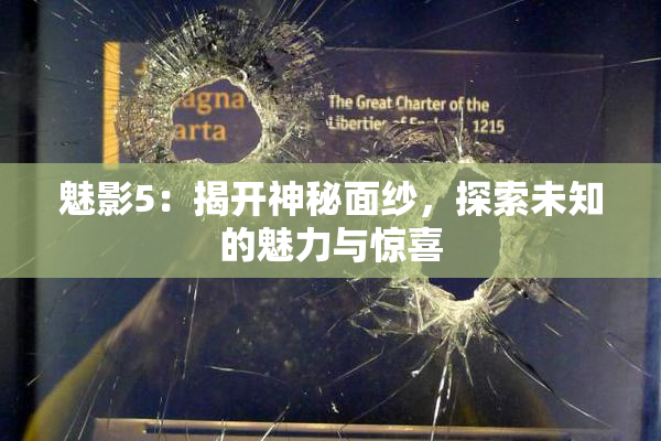 魅影5：揭开神秘面纱，探索未知的魅力与惊喜