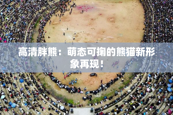 高清胖熊：萌态可掬的熊猫新形象再现！
