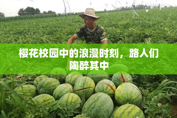 樱花校园中的浪漫时刻，路人们陶醉其中