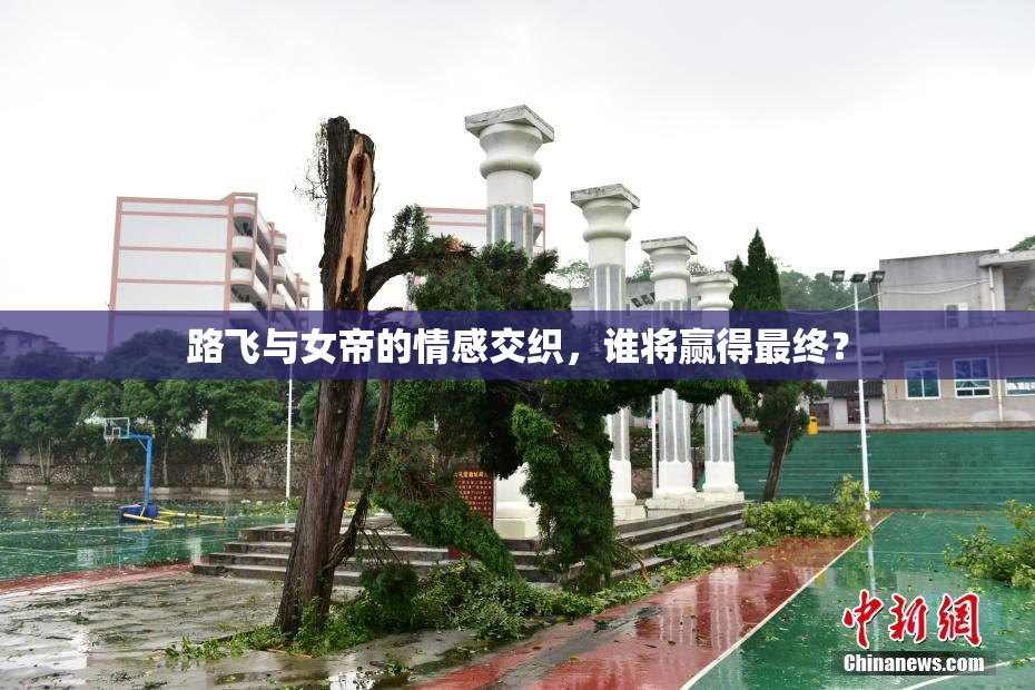 路飞与女帝的情感交织，谁将赢得最终？