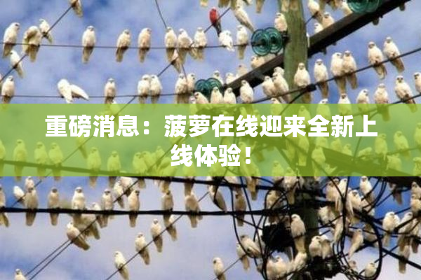 重磅消息：菠萝在线迎来全新上线体验！