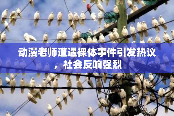动漫老师遭遇裸体事件引发热议，社会反响强烈