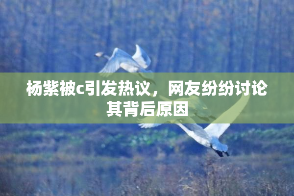 杨紫被c引发热议，网友纷纷讨论其背后原因