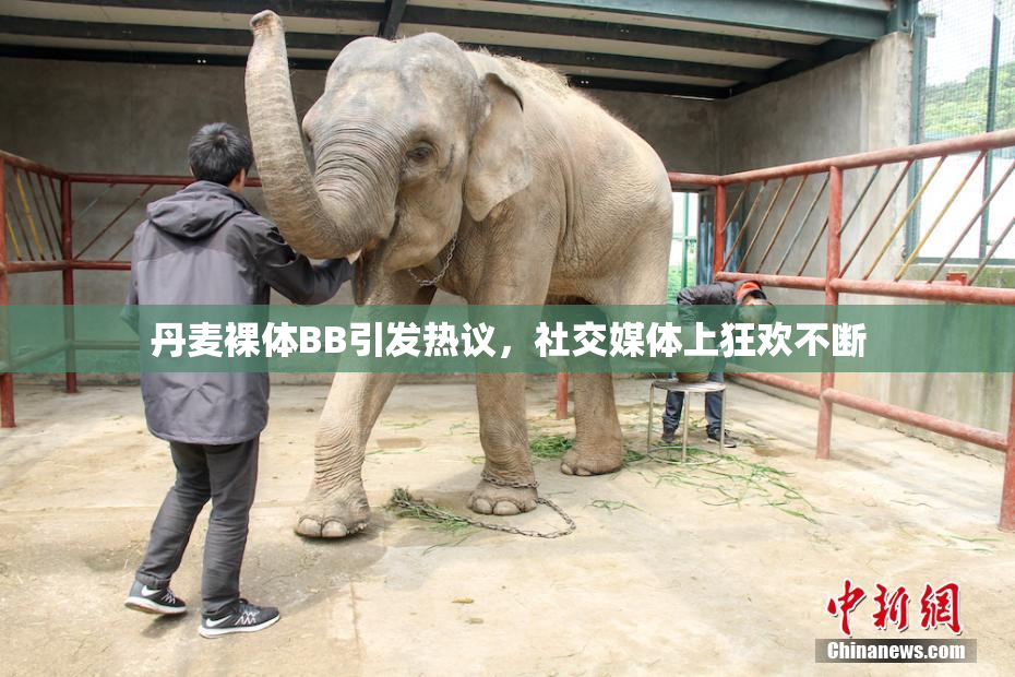 丹麦裸体BB引发热议，社交媒体上狂欢不断