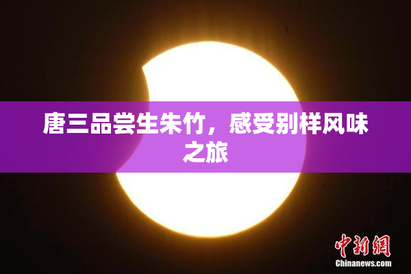 唐三品尝生朱竹，感受别样风味之旅