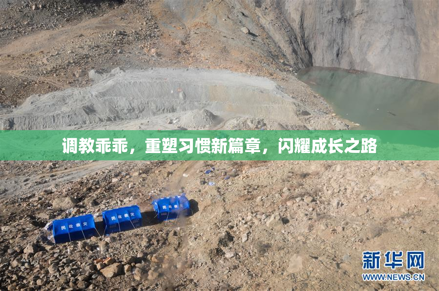 调教乖乖，重塑习惯新篇章，闪耀成长之路