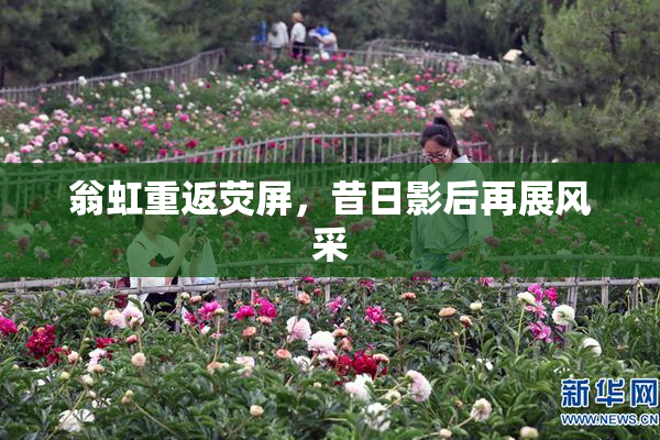 翁虹重返荧屏，昔日影后再展风采