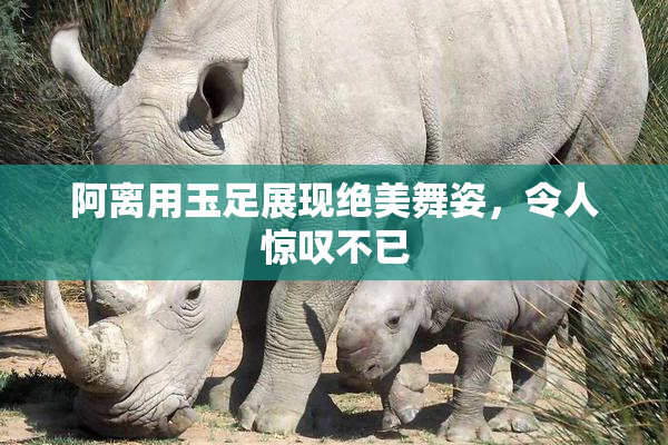 阿离用玉足展现绝美舞姿，令人惊叹不已