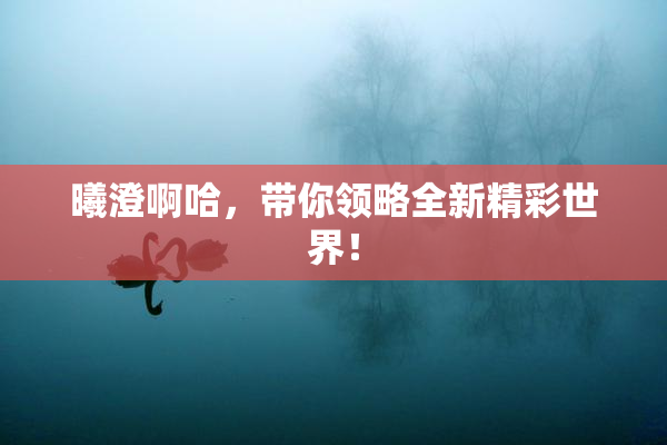 曦澄啊哈，带你领略全新精彩世界！