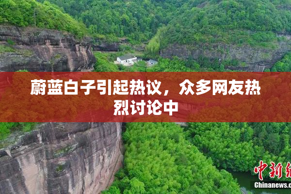 蔚蓝白子引起热议，众多网友热烈讨论中