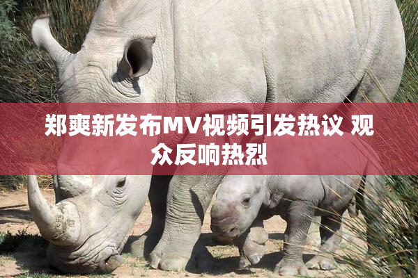 郑爽新发布MV视频引发热议 观众反响热烈