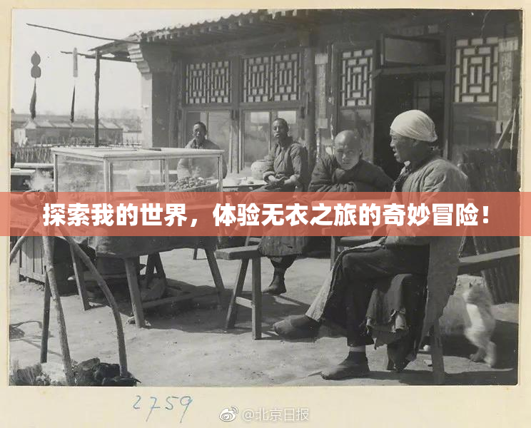 探索我的世界，体验无衣之旅的奇妙冒险！