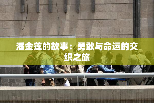 潘金莲的故事：勇敢与命运的交织之旅