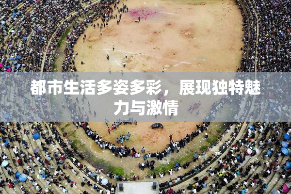 都市生活多姿多彩，展现独特魅力与激情