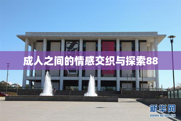成人之间的情感交织与探索88