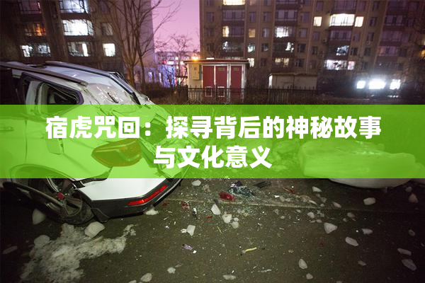 宿虎咒回：探寻背后的神秘故事与文化意义