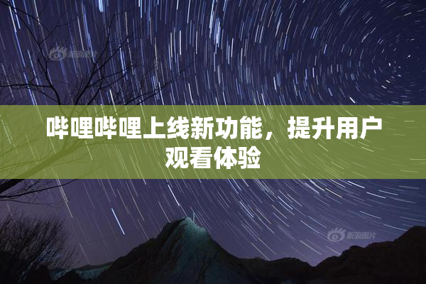 哔哩哔哩上线新功能，提升用户观看体验