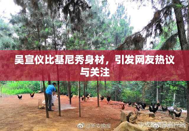 吴宣仪比基尼秀身材，引发网友热议与关注