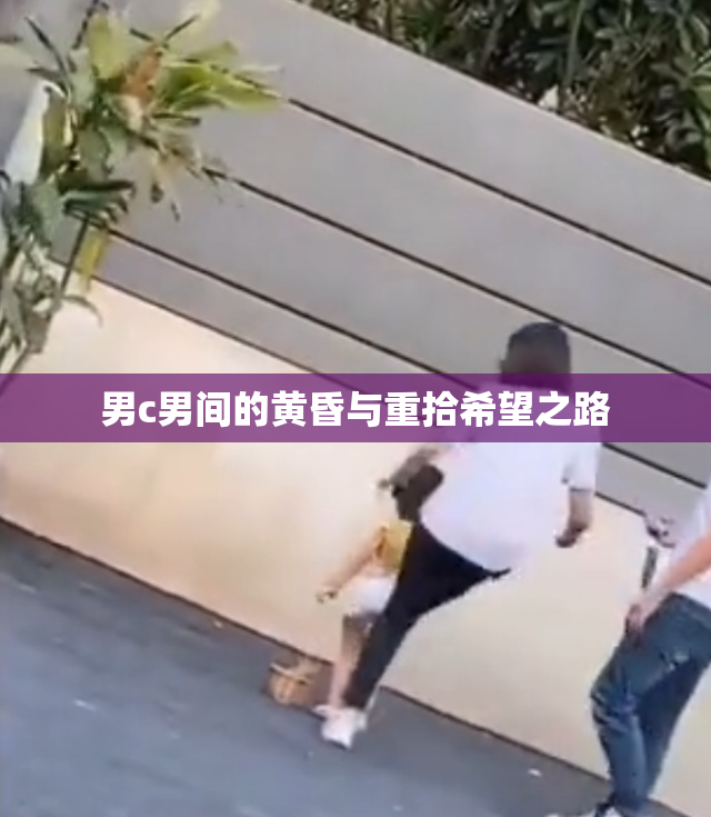 男c男间的黄昏与重拾希望之路