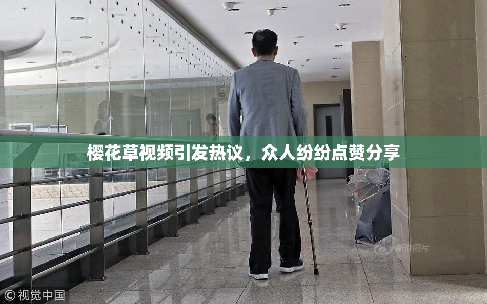 樱花草视频引发热议，众人纷纷点赞分享