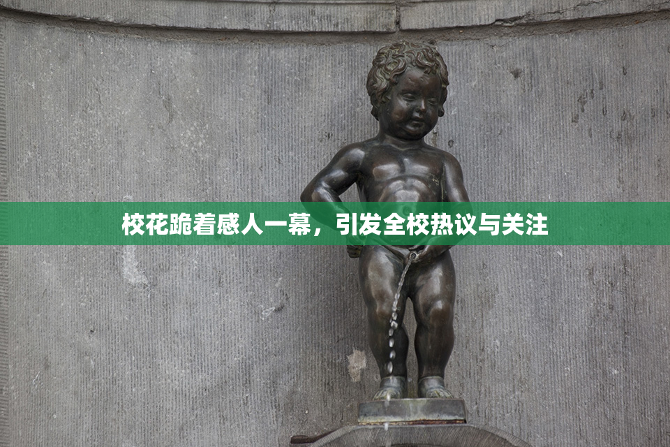 校花跪着感人一幕，引发全校热议与关注