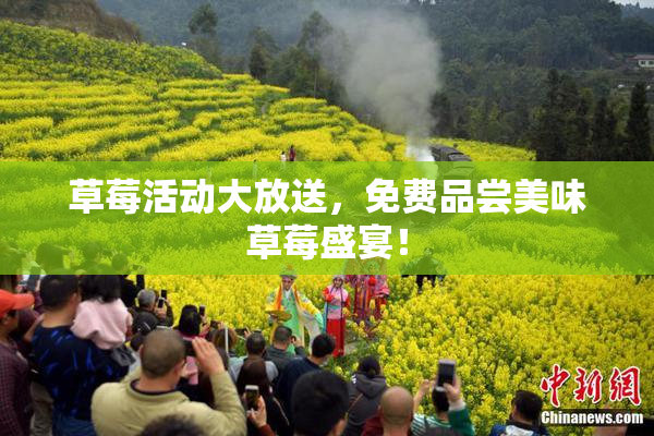 草莓活动大放送，免费品尝美味草莓盛宴！