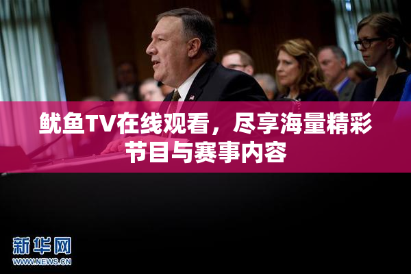 鱿鱼TV在线观看，尽享海量精彩节目与赛事内容