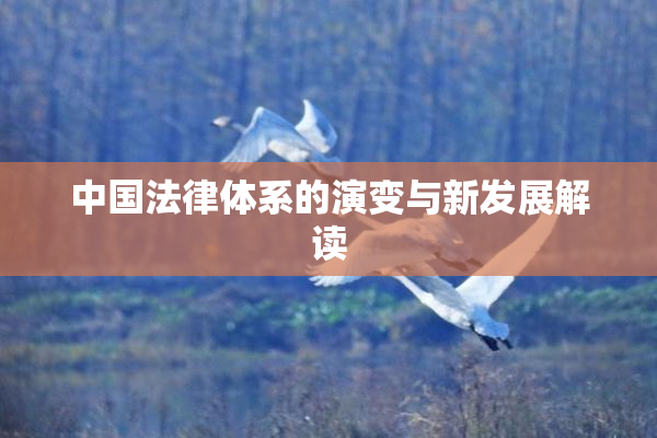 中国法律体系的演变与新发展解读