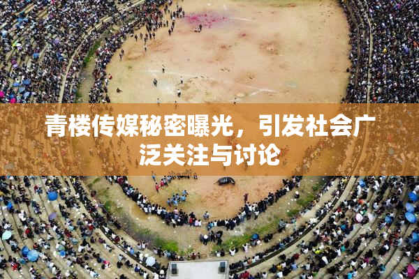 青楼传媒秘密曝光，引发社会广泛关注与讨论