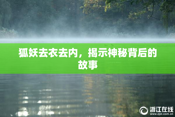 狐妖去衣去内，揭示神秘背后的故事