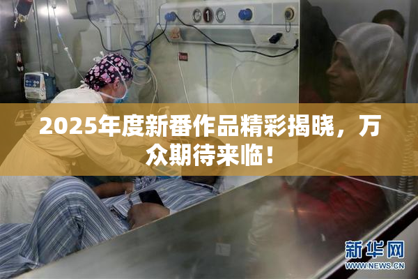 2025年度新番作品精彩揭晓，万众期待来临！