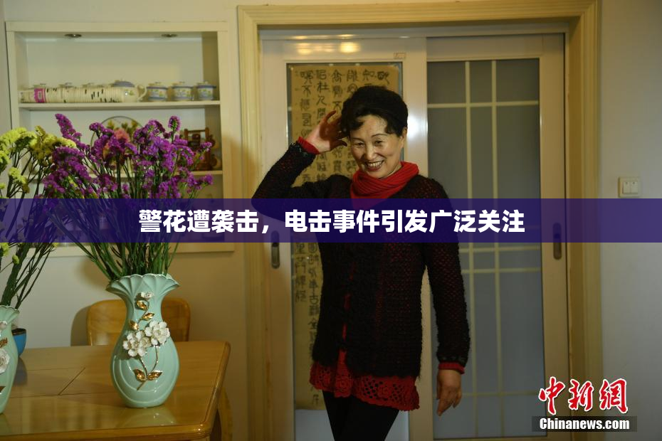警花遭袭击，电击事件引发广泛关注