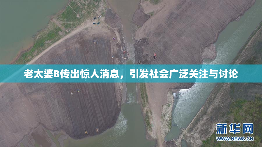 老太婆B传出惊人消息，引发社会广泛关注与讨论
