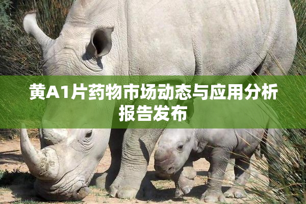 黄A1片药物市场动态与应用分析报告发布