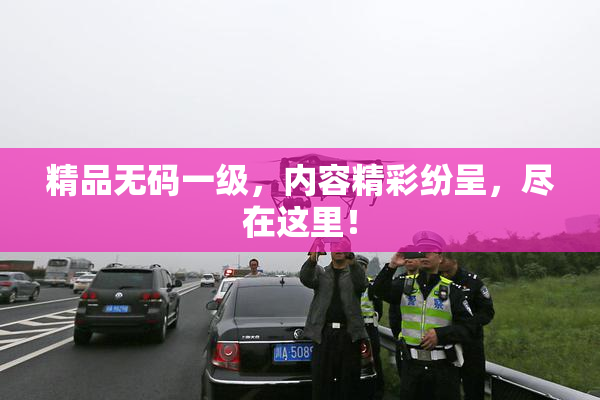 精品无码一级，内容精彩纷呈，尽在这里！