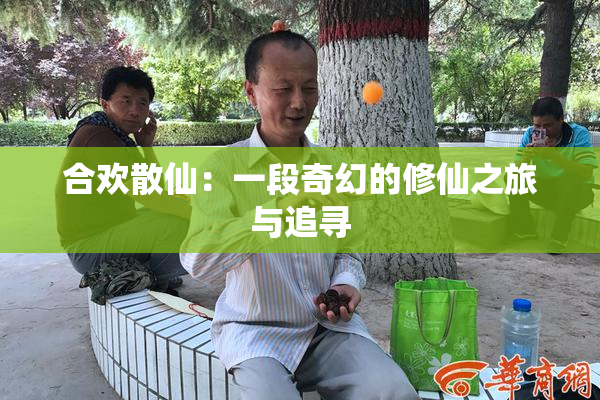 合欢散仙：一段奇幻的修仙之旅与追寻