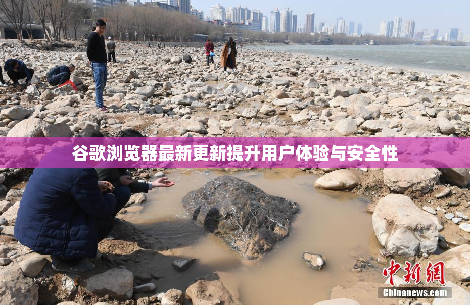 谷歌浏览器最新更新提升用户体验与安全性
