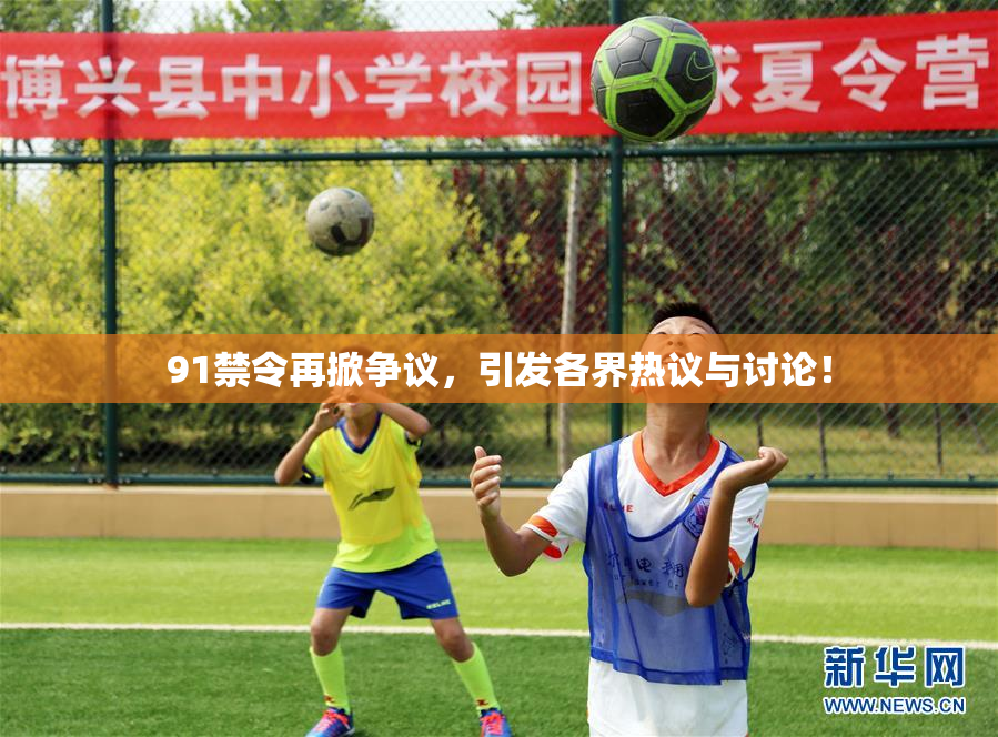91禁令再掀争议，引发各界热议与讨论！
