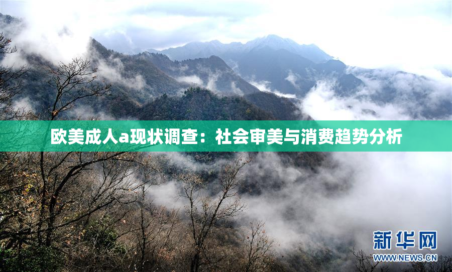 欧美成人a现状调查：社会审美与消费趋势分析