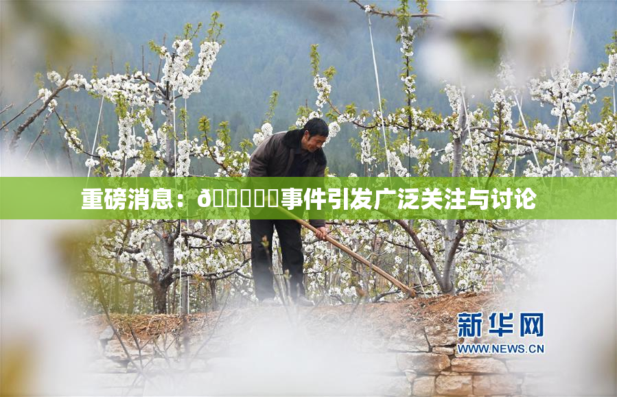 重磅消息：🍆❌‌事件引发广泛关注与讨论