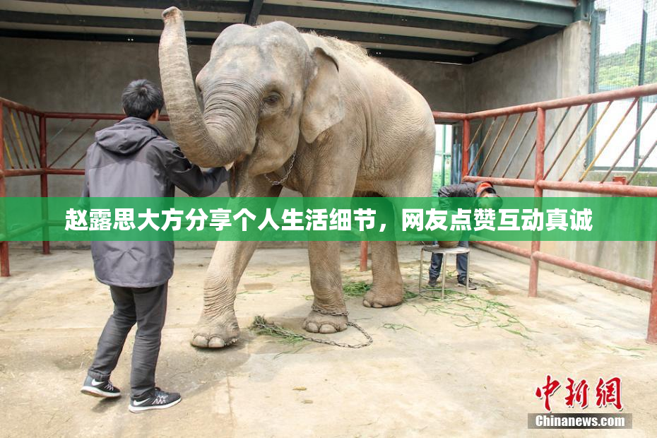 赵露思大方分享个人生活细节，网友点赞互动真诚