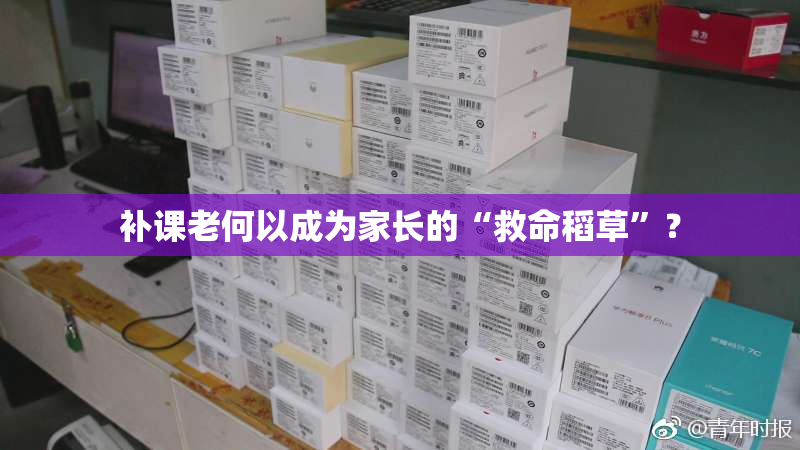 补课老何以成为家长的“救命稻草”？