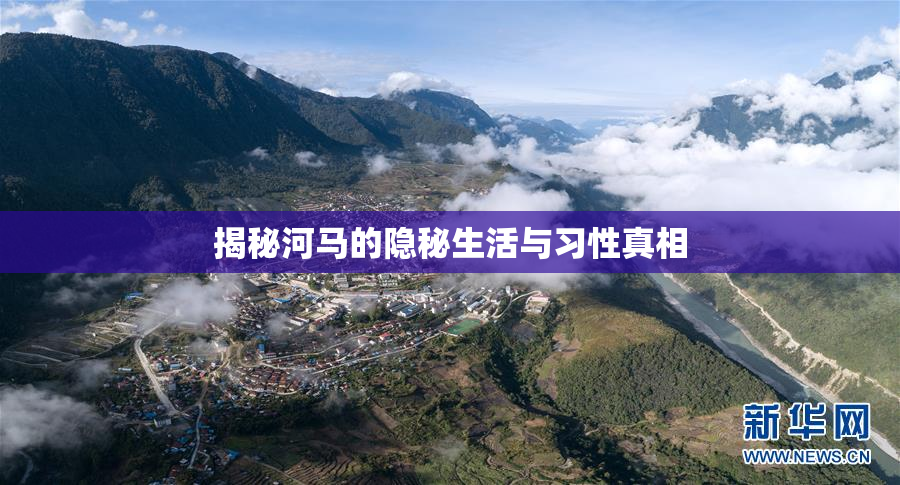 揭秘河马的隐秘生活与习性真相